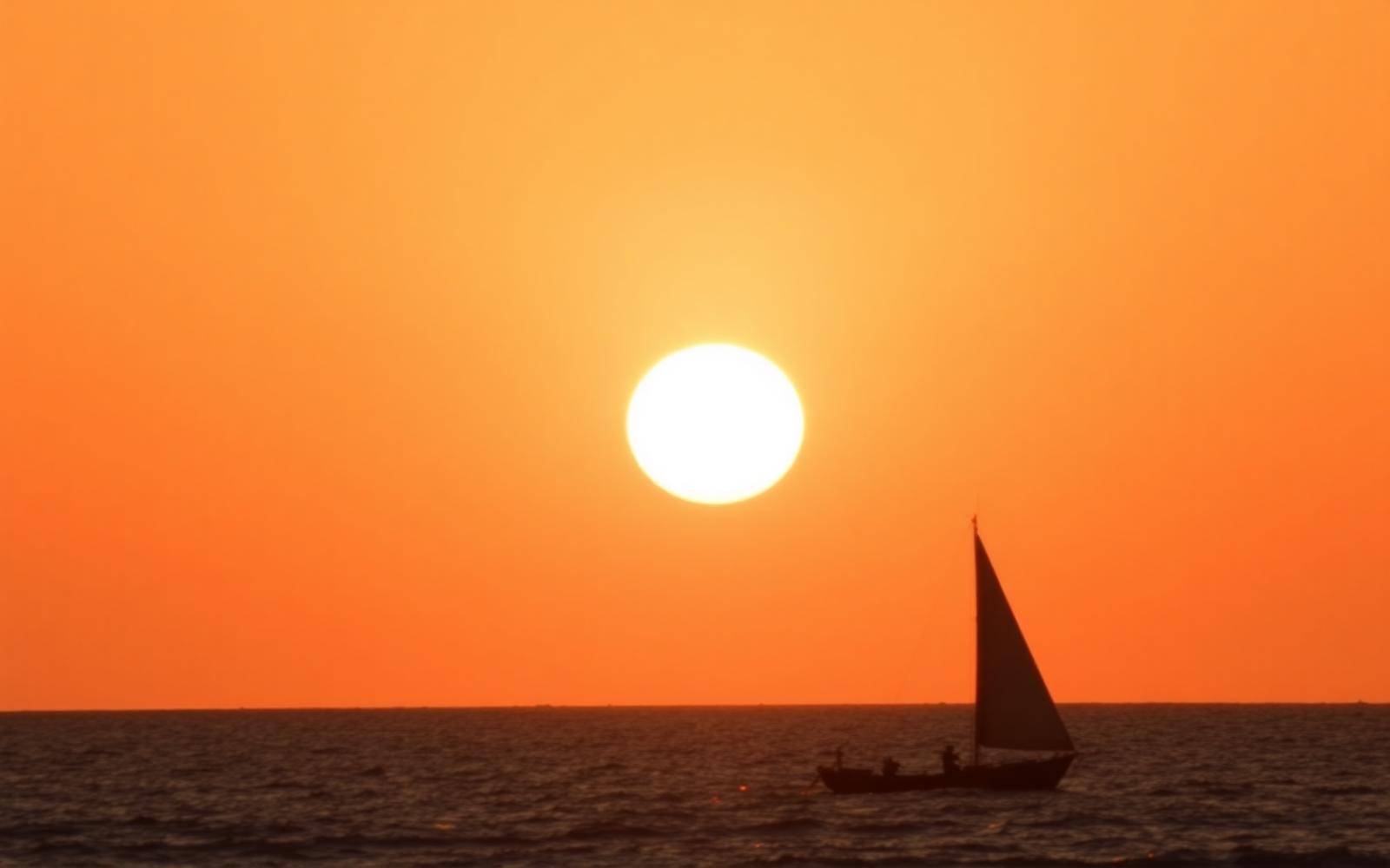 Indian Ocean sunset behind silhouetted palms